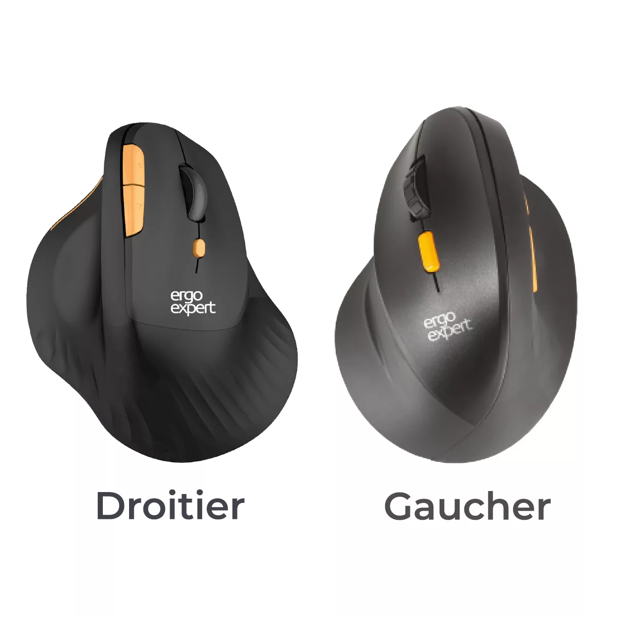 fbae5b32472d186e4f2f8d67c0b707da3bad854e_Comparaison_droitier_gaucher.jpg Souris verticale - Ergonomie - TMS - tension - douleurs - main - poignets - bras
